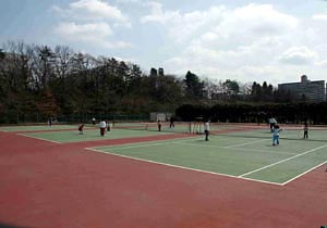 写真：南公園テニスコート