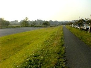 写真：多摩川中央公園3