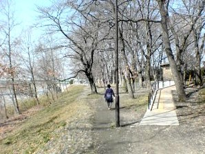 写真：多摩川緑地福生柳山公園4