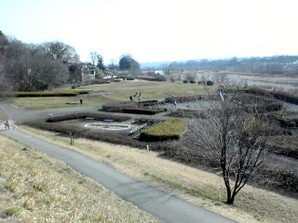 写真：多摩川緑地福生かに坂公園1