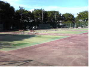 写真：武蔵野台公園2