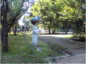 写真：武蔵野台公園3