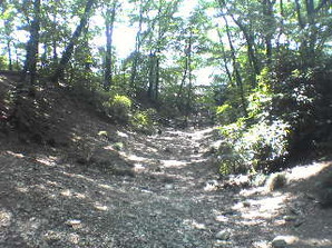 写真：玉川上水の開削跡