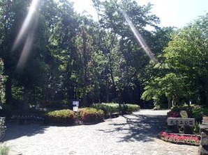 写真：みずくらいど公園1