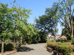 写真：みずくらいど公園3