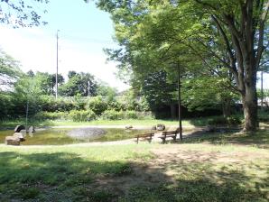 写真:中福生公園3
