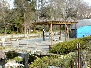 写真：ほたる公園4