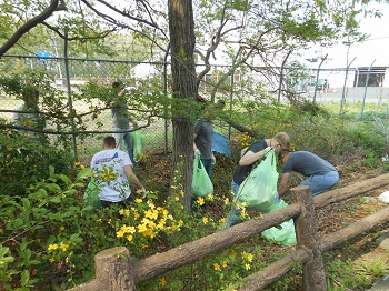 写真：前々回、4月17日の清掃の様子
