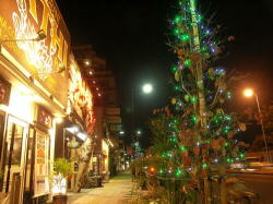 写真：国道16号線沿い商店街