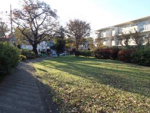玉川公園2
