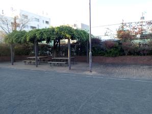 原ヶ谷戸東公園3