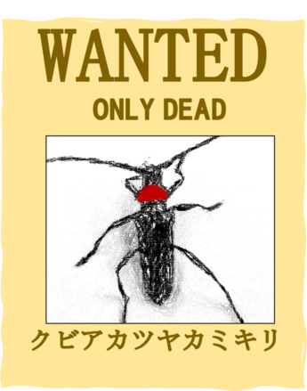 クビアカツヤカミキリを駆除した方に奨励品を交付します