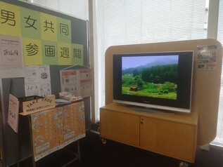 庁舎1